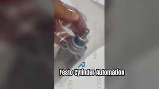 Cilindro pneumático padrão Festo DSBC-32-100-PPVA-N3 SO