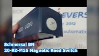 Chave magnética de palheta Schmersal BN 20-RZ-M16
