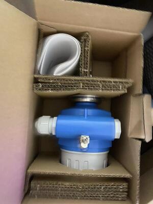 Interruptor de nível pontual vibrônico Endress Hauser FTL50-1DN80/0