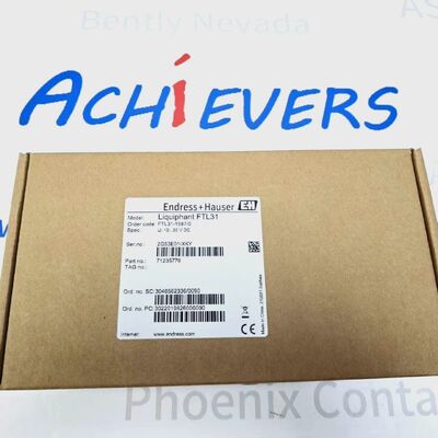 E+H TL31‐1587/0 Comutador de nível do ponto vibrónico do líquido