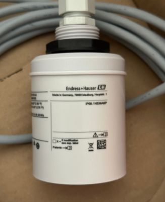 Endress Hauser FDU91-RG1AA Sensor de nível ultrasônico