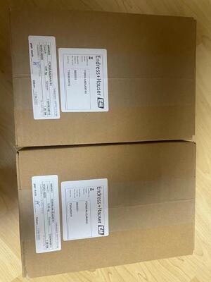 Endress Hauser FQR56-AAEAAXFA1 Gerador de sinal de alta estabilidade para sistemas de medição industriais