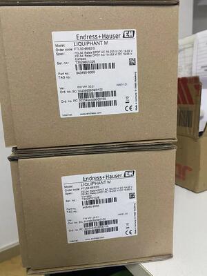 Interruptor de nível pontual vibrônico Endress Hauser FTL50-1DN80/0